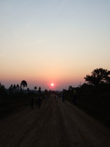 Chris Kwiatkowski - Kenya Sunset