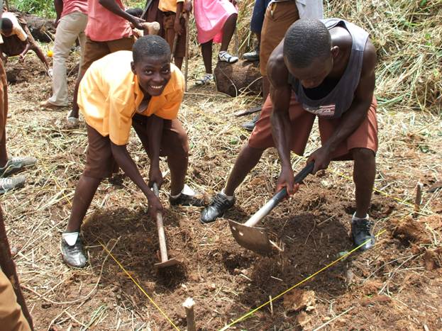 Kumasi Institute For Tropical Agriculture, Ghana By Michelle Schram 