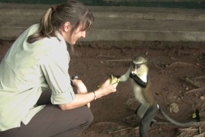 Kim Clune - Tafi Atome Monkey Sanctuary