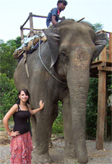 Savhanna Wilson - Nepal Elephant