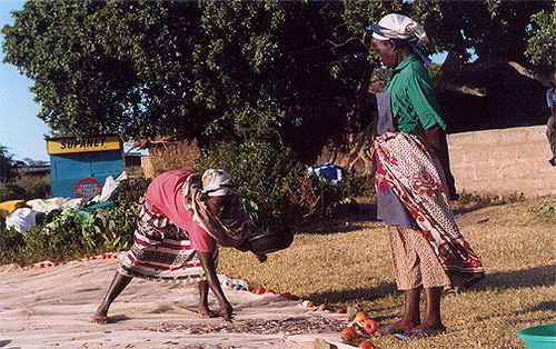 Kenya: Silence to Stars and My Birthday Beach Party by Jami Rudofsky