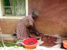 African Woman Working