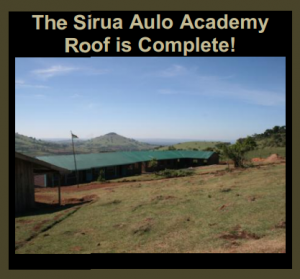 Sirua Aulo Academy Roof