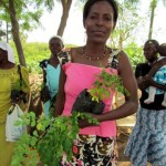 women Kargeno growing tree